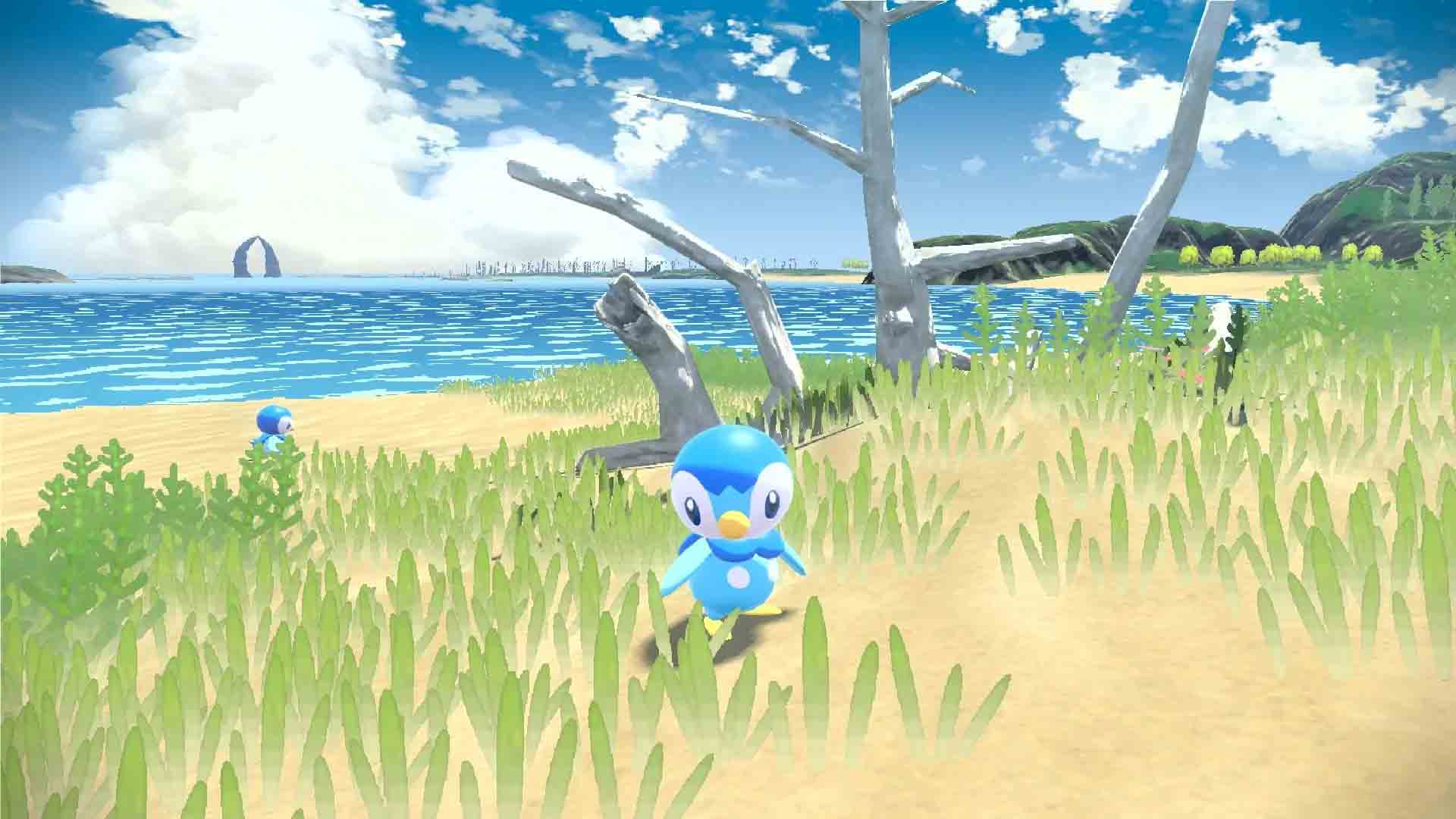 空1